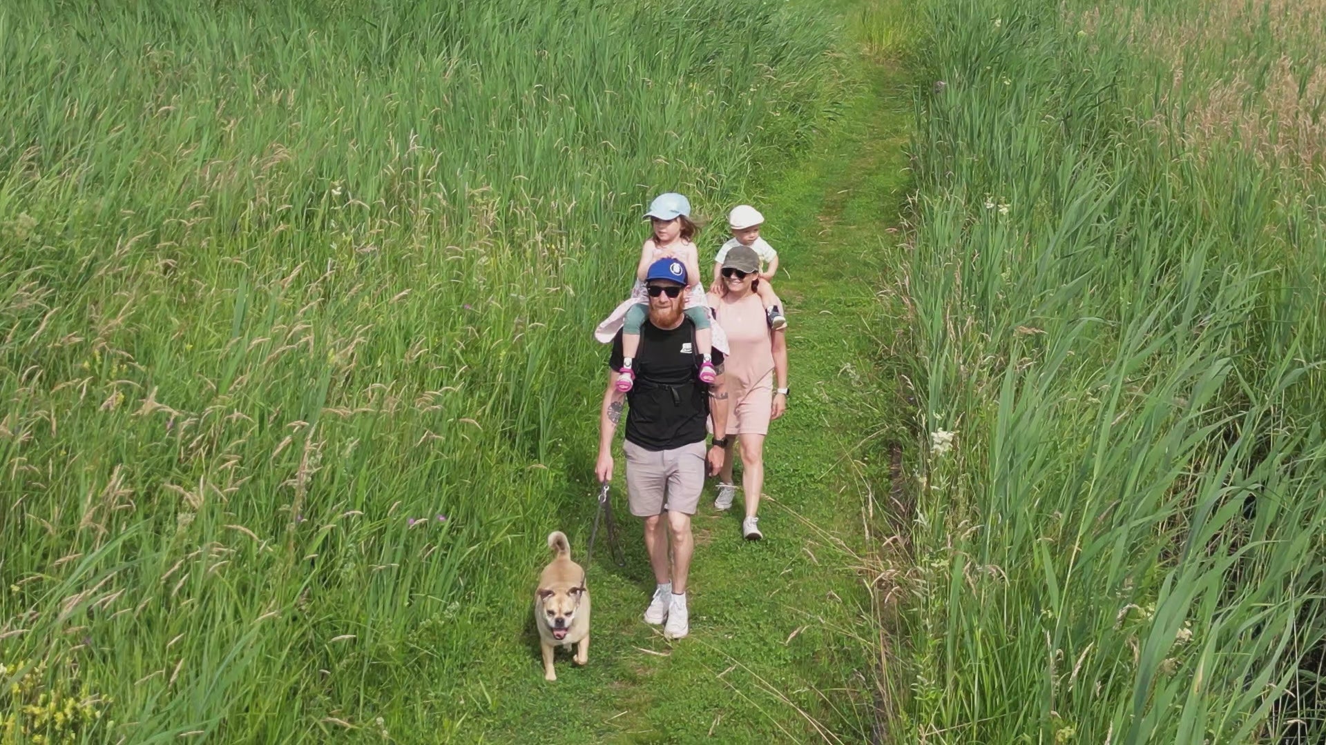 Drohnenaufnahme einer Familie mit zwei Kindern und Hund beim Spaziergang durch einen grünen Naturweg